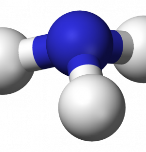 Ammonia Fuel